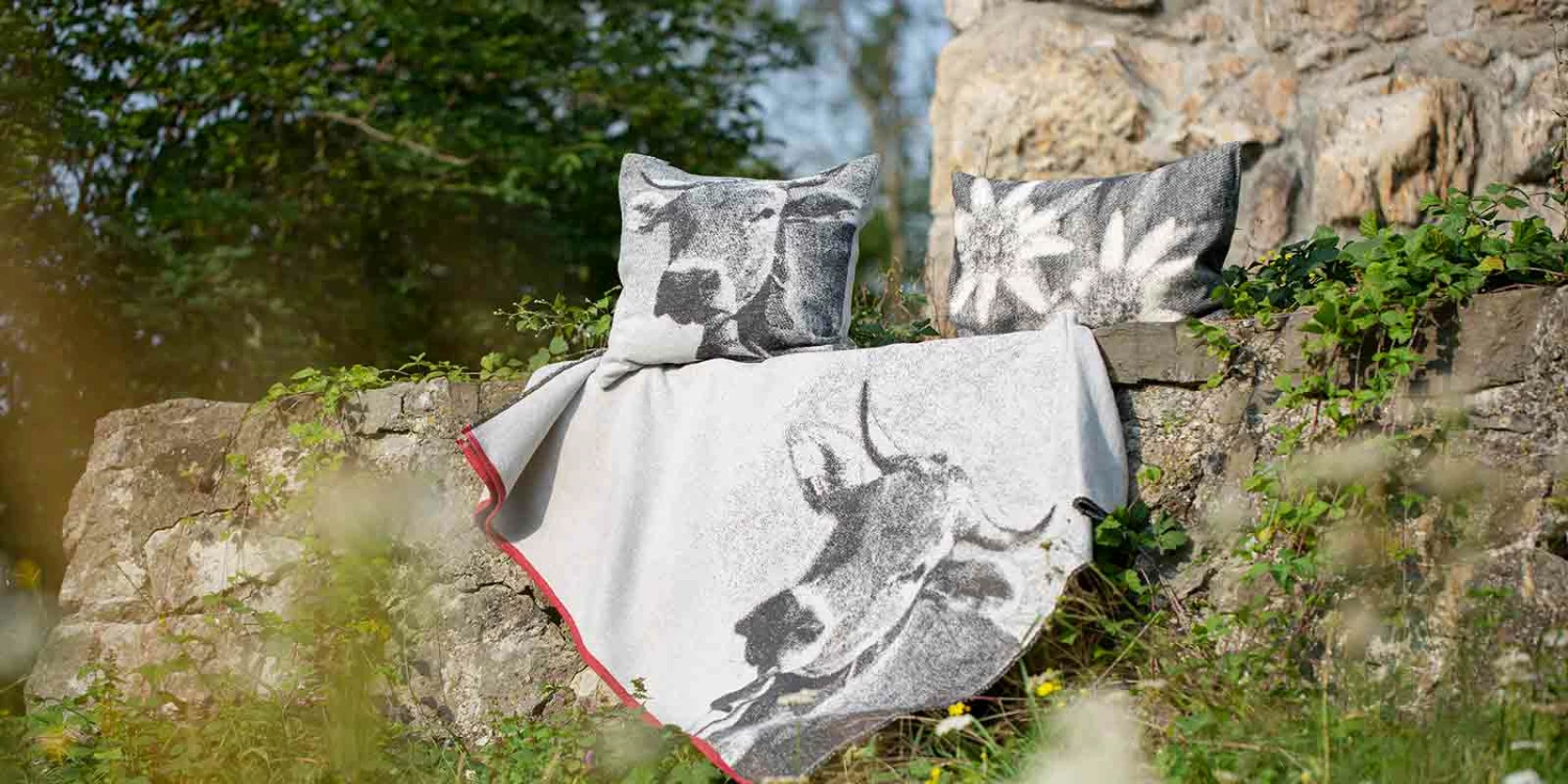 David Fussenegger Sales 3 David Fussenegger Sales -David Fussenegger Sales Titelbild Basic