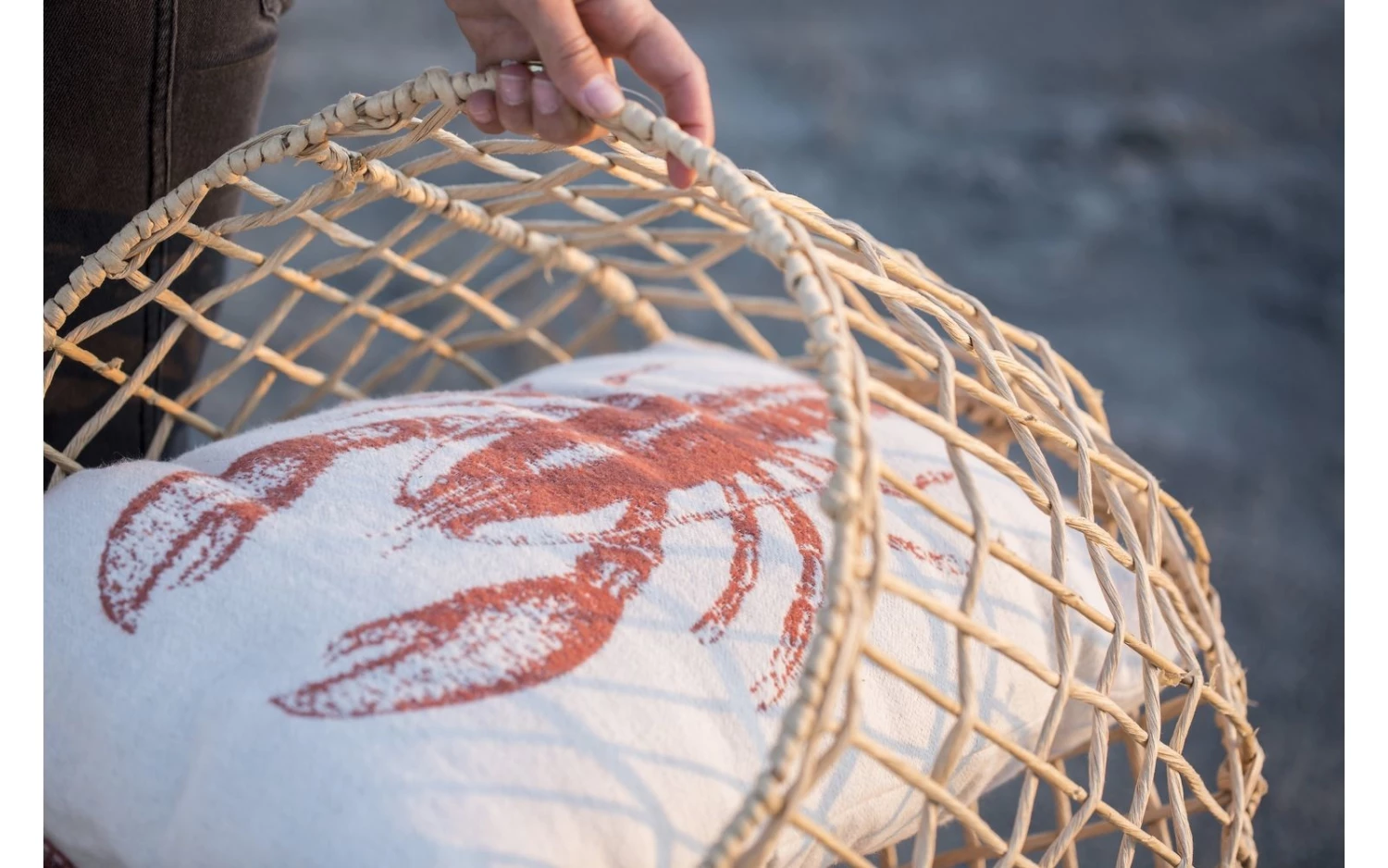 David Fussenegger Nova Lobster Cushion Cover 2 David Fussenegger Nova Lobster Cushion Cover