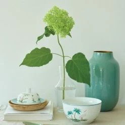 Pip Studio Jolie Butter Dish 12 Pip Studio Jolie Butter Dish