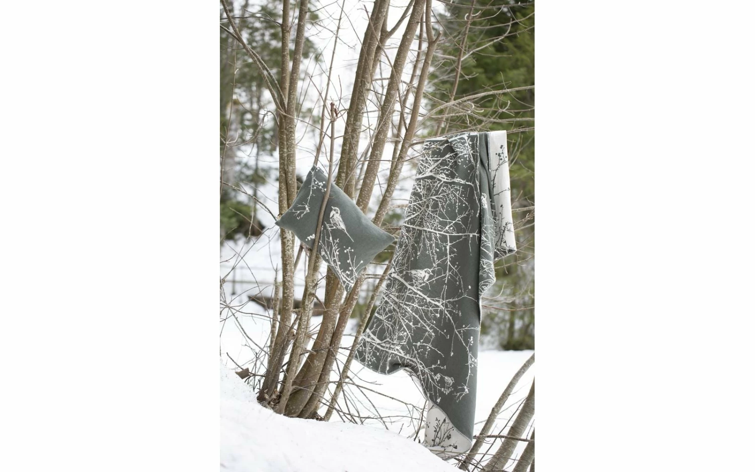 David Fussenegger Diva Überwurf Vogel Tannengrün 3 David Fussenegger Diva Überwurf Vogel Tannengrün