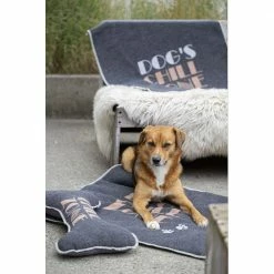 David Fussenegger Large Chill Zone Pet Blanket 6 David Fussenegger Large Chill Zone Pet Blanket