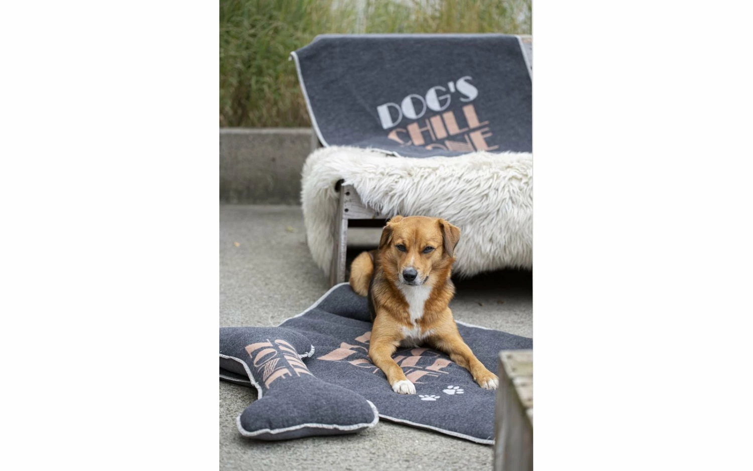 David Fussenegger Large Chill Zone Pet Blanket 3 David Fussenegger Large Chill Zone Pet Blanket