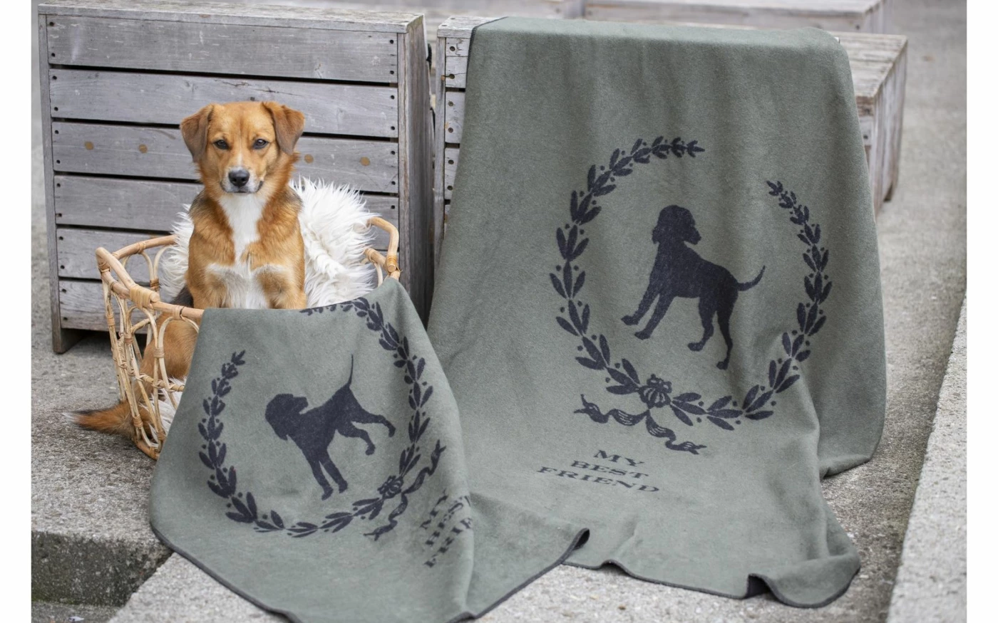 David Fussenegger Large Army My Best Friend Dog Blanket 3 David Fussenegger Large Army My Best Friend Dog Blanket