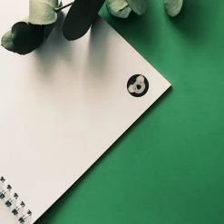 My Name is Mir Koala Notebook