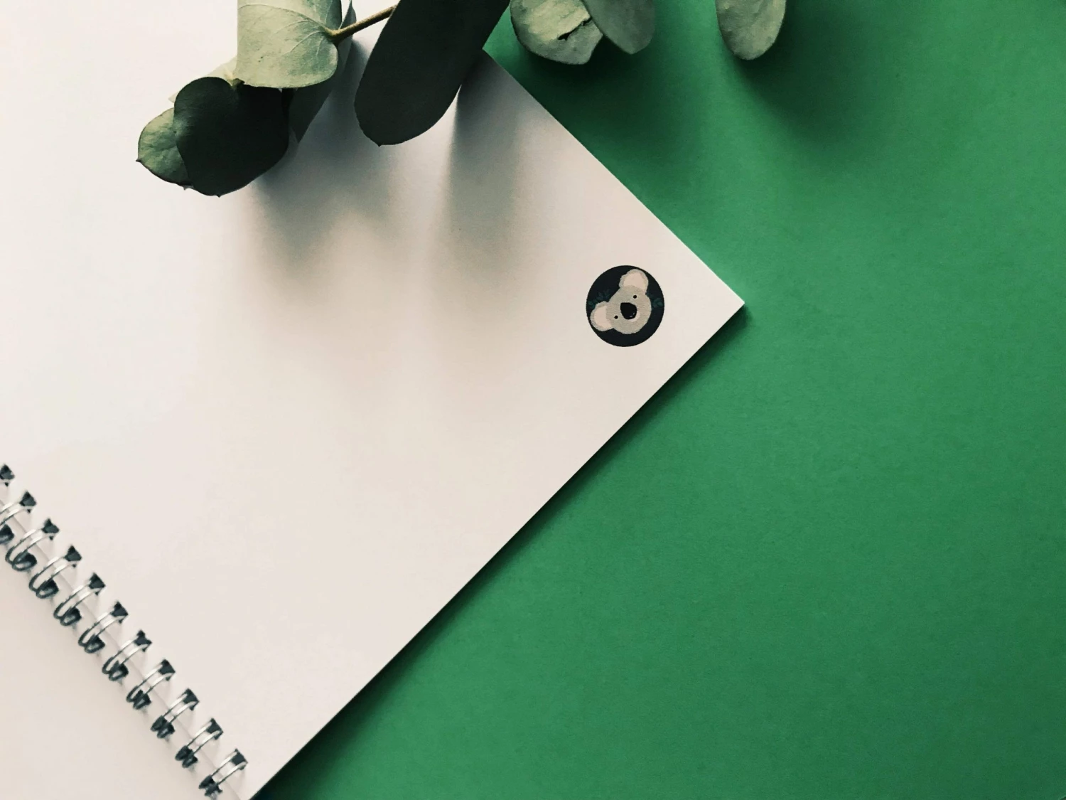 My Name is Mir Koala Notebook 2 My Name is Mir Koala Notebook