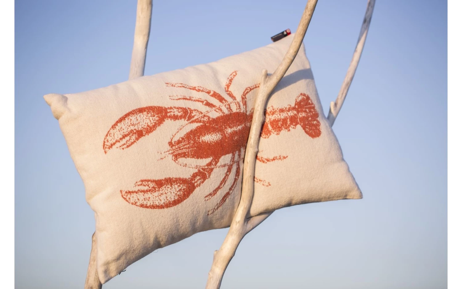 David Fussenegger Nova Lobster Cushion Cover 3 David Fussenegger Nova Lobster Cushion Cover